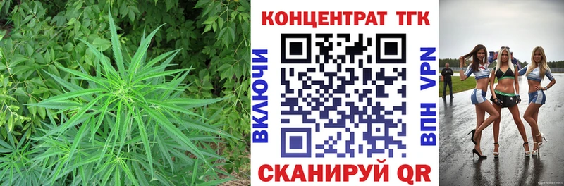 Купить закладки  Апшеронск  ТГК концентрат 