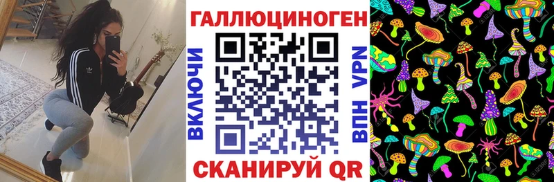 Псилоцибиновые грибы Cubensis  Купить  Апшеронск 